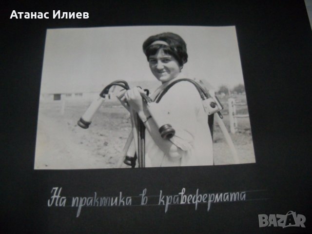 Огромен соц албум със снимки на социалистическата младеж, снимка 13 - Други ценни предмети - 32728113