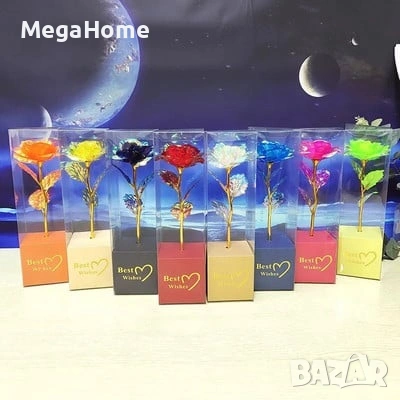 Декоративна цветна роза „Best Wishes“ със златно стъбло, Различни цветове