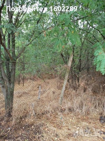 Празен двор, снимка 2 - Парцели - 37777236