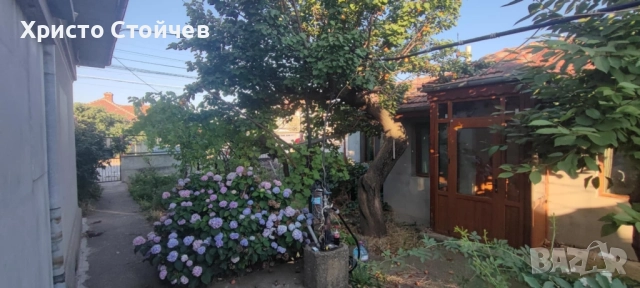 Рязане, кастрене, почистване на терени, снимка 10 - Други услуги - 51964497