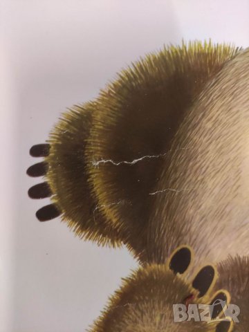 Продавам голям плакат Москва 1980 Олимпиада. А . Архипенко, снимка 6 - Други ценни предмети - 32422175