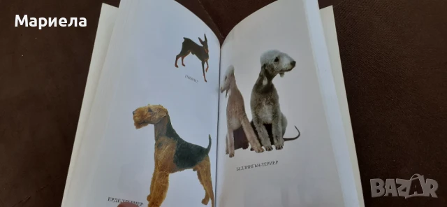Кучета и други животни , снимка 4 - Специализирана литература - 50879058