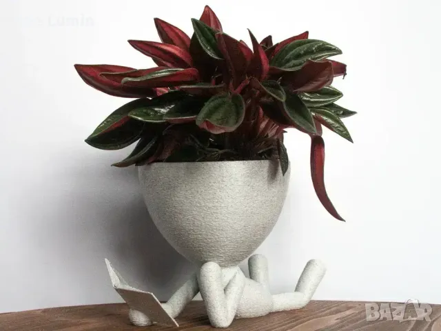 Кашпа – лежащият читател, снимка 1