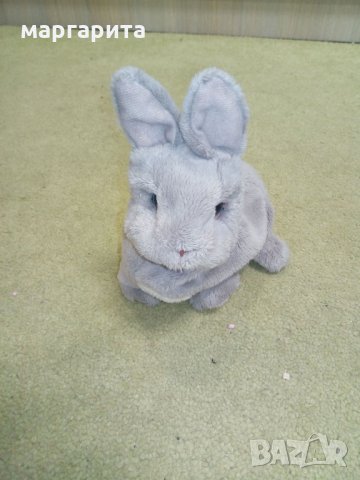 интерактивен домашен любимец HASBRO, снимка 2 - Рисуване и оцветяване - 16734417