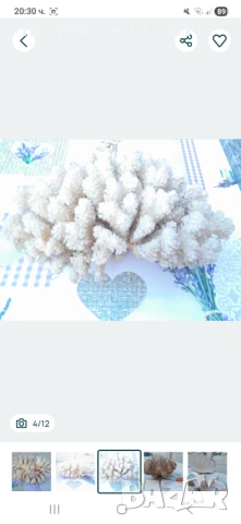 Морски артикули декорация , снимка 4 - Други - 53250087