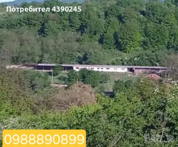 животновъден обект , снимка 2 - Други - 49296149