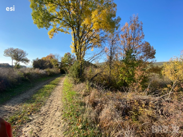 7 Дка – Рента 100 ЛВ/ДКА – от Собственик, снимка 2 - Парцели - 52516508