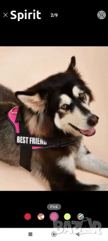 Нагръдник за голямо куче, снимка 4 - За кучета - 49973485