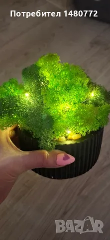 Светеща кашпа със скандинавски мъх , снимка 9 - Декорация за дома - 48169980
