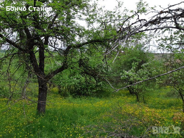 Продавам къща с парцел, снимка 11 - Парцели - 26810812