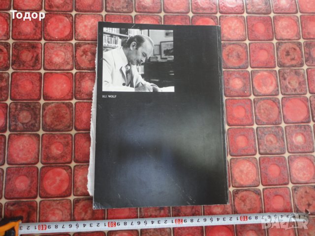 Холандска армейска книга албум карта , снимка 2 - Специализирана литература - 39145006