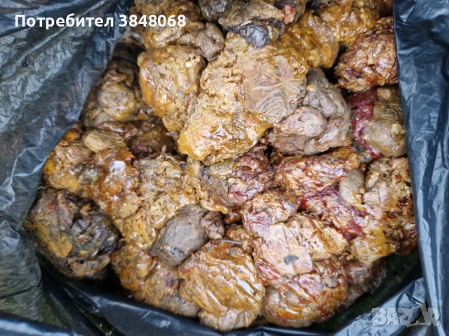 Прополис, снимка 3 - Пчелни продукти - 52037708