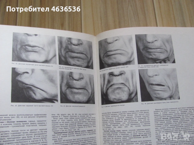 Книга Пластическая анатомия и изображения человека, 1985г., снимка 5 - Специализирана литература - 53255032