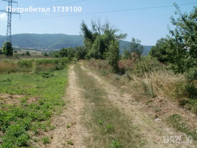 Земеделска земя Горни Лозен 4 декара близо  околовръстното, снимка 2 - Земеделска земя - 47525333