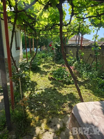 Продавам без Агенции! Две къщи в общ парцел. с. Борец.30км.от Пловдив, снимка 5 - Къщи - 50405102