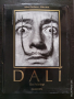 Пълен каталог Дали, снимка 1