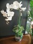 Изкуствена орхидея в кашпа, снимка 1 - Изкуствени цветя - 38256825