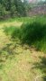 Косене на трева, почистване на дворове , снимка 1 - Други услуги - 28727617