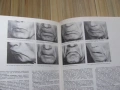 Книга Пластическая анатомия и изображения человека, 1985г., снимка 5