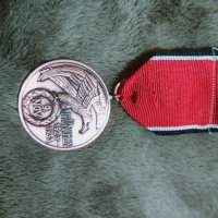 Нацистки медал, снимка 1 - Антикварни и старинни предмети - 35098283
