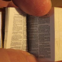 старинна миниатюрна немска библия - много страници, красота и позлата за ценители и колекционери . , снимка 7 - Антикварни и старинни предмети - 34625548