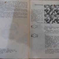 Книга "Геометрична рапсодия - Карл Левитин" - 138 стр., снимка 3 - Специализирана литература - 32878126