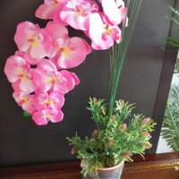 Изкуствена орхидея в кашпа , снимка 2 - Изкуствени цветя - 38256840