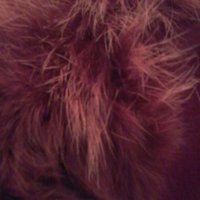 палто в бордо и пухена яка, снимка 5 - Палта, манта - 27213572