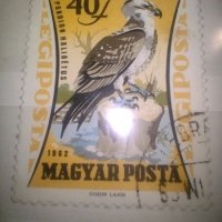Колекция 2 бр. стари Унгарски марки с птици, 1962 г., снимка 2 - Филателия - 43348615
