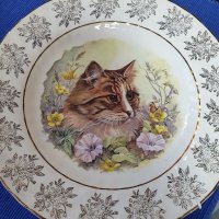 Колекционерски чинии за стена с котки , снимка 3 - Декорация за дома - 39749553
