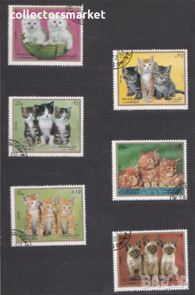 Домашни котки 1972, Шаржах, снимка 1