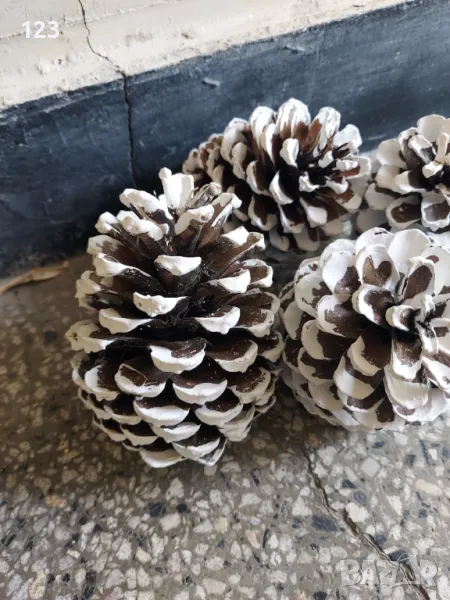 Шишарки за декорация , снимка 1