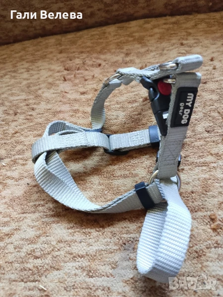 Нагръдник за куче, снимка 1