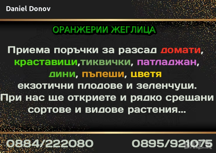 Приемаме поръчки за разсад домати, краставици, тиквички, патладжан, дини, пъпеши, цветя, екзотични, снимка 1