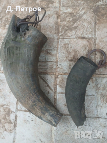 Рог от бивол катраница, снимка 3 - Антикварни и старинни предмети - 50087498