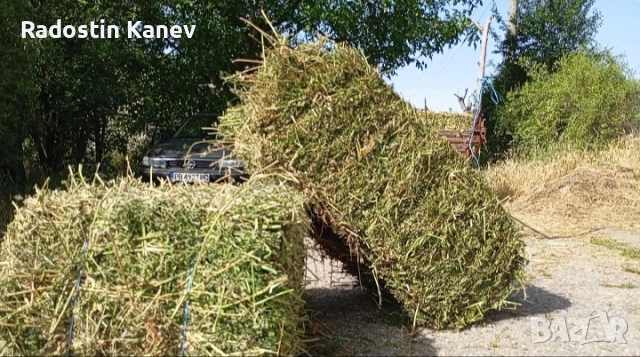 Бали люцерна супер качество и сено , снимка 3 - За селскостопански - 52469769