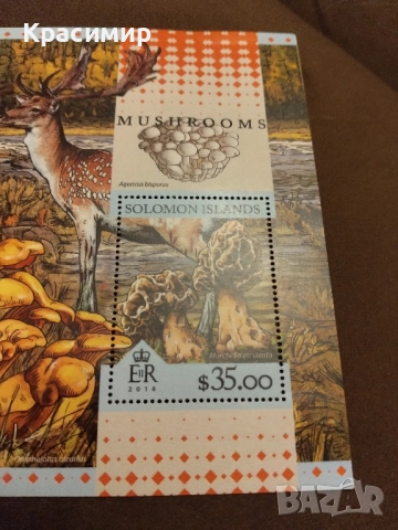 Пощенска марка Соломоновите острови 2016 г., снимка 2 - Филателия - 52013497