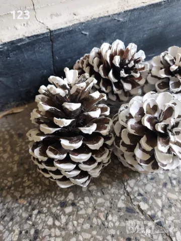 Шишарки за декорация 