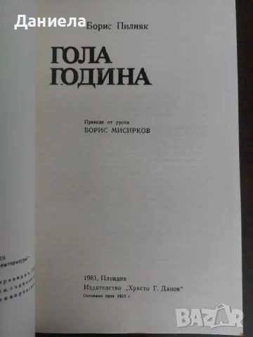 Гола година- Борис Пилняк, снимка 3 - Художествена литература - 48728676