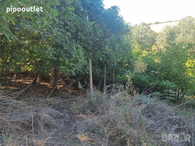 Продава се масивна сграда с двор – с. Марикостиново, общ. Петрич, снимка 14 - Къщи - 51583145