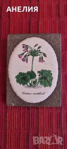  Интериорна декорация 