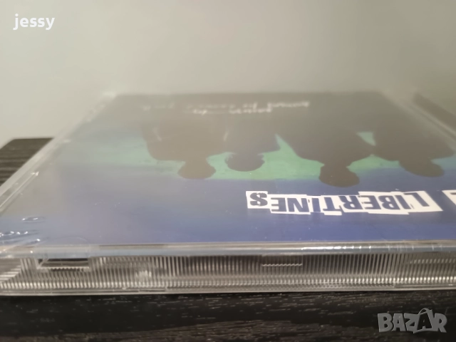 The Libertines - Anthems for Doomed Youth, снимка 4 - CD дискове - 40978149