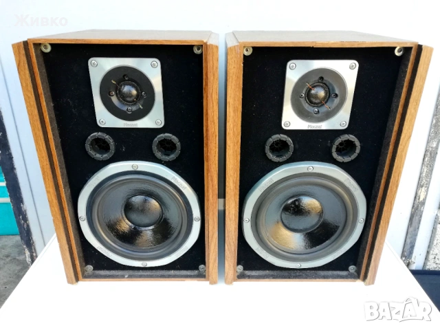 Тонколони MAGNAT