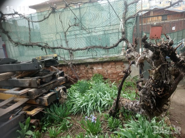 Лоза става за декорация за игра и катерене на котки , снимка 8 - Други стоки за дома - 32531302