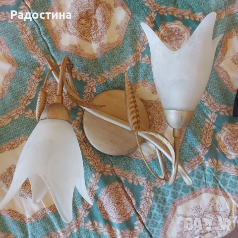 Полилеи, снимка 5 - Полилеи - 50794047