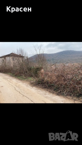 Почистване/извозване, снимка 6 - Други почистващи услуги - 32677515