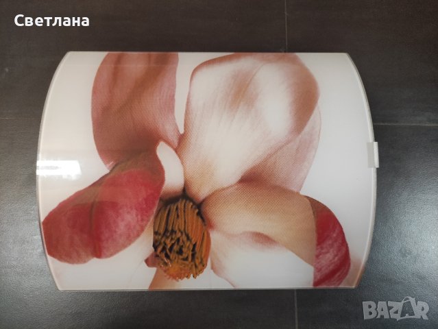 Полилей, снимка 3 - Полилеи - 43872468