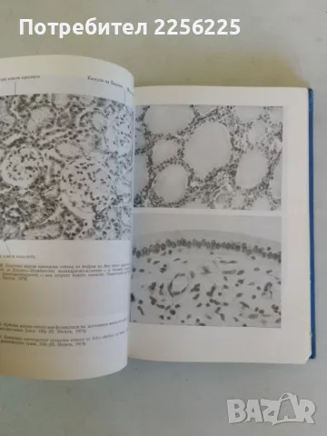 Обща хистология и ембриология, снимка 2 - Специализирана литература - 47491749