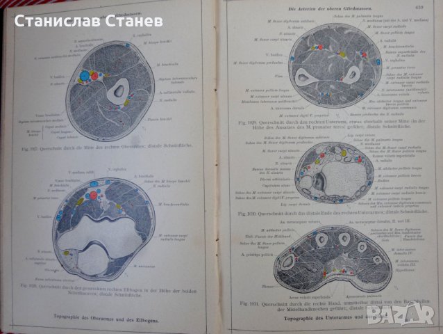 Антикварни книги - атлас анатомия - 2 бр., снимка 4 - Антикварни и старинни предмети - 27970222