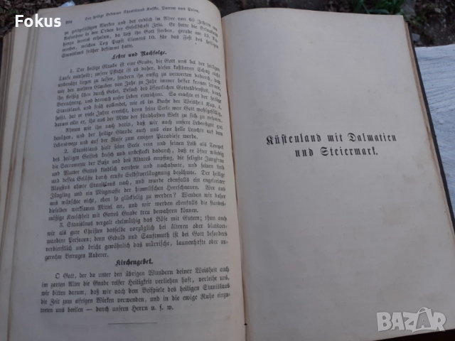 МНОГО СТАРА НЕМСКА БИБЛИЯ 1887 ГОДИНА, снимка 9 - Антикварни и старинни предмети - 53479194